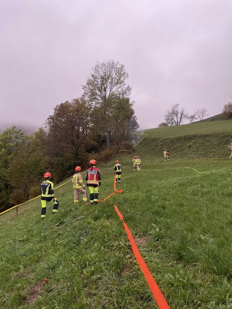 Morda je slika naslednjega: 5 oseb in trava